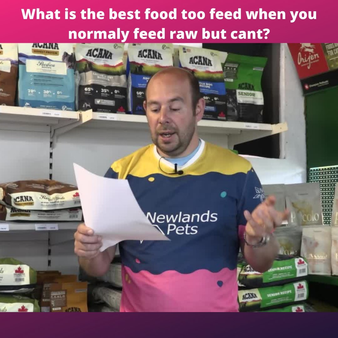 NewlandsPets's tweet photo. What is the best food to feed, when you normally feed raw but can't for a specific reason? This is a question we get asked all of the time. It is very useful for when you go on holiday for example 

#dogs #dogfood #dogsdiet #dogsofinstagram #rawfeddog #rawfood #advice #help https://t.co/rRFCTnyQ9M