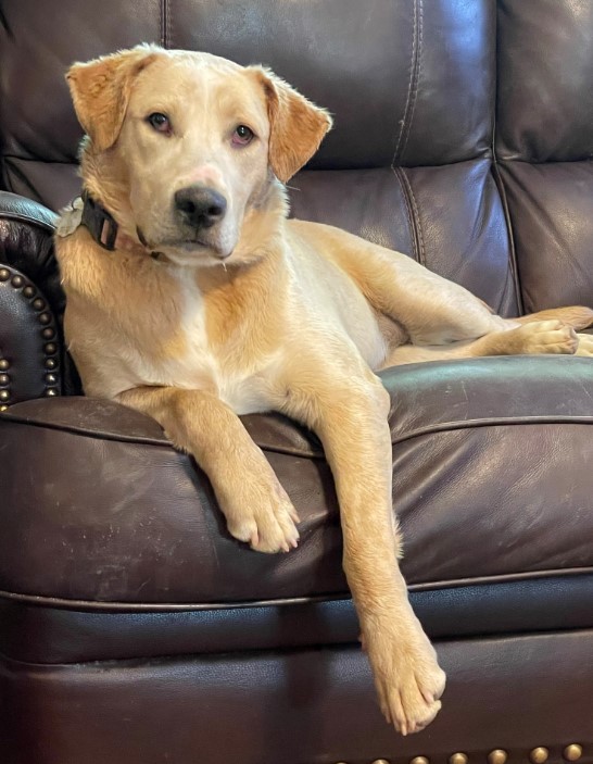 Les Veach tweet media