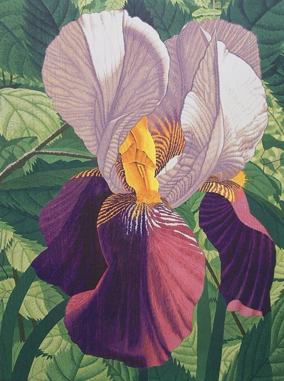 Double Iris 2002 #GordonMortensen #wildflowerhour