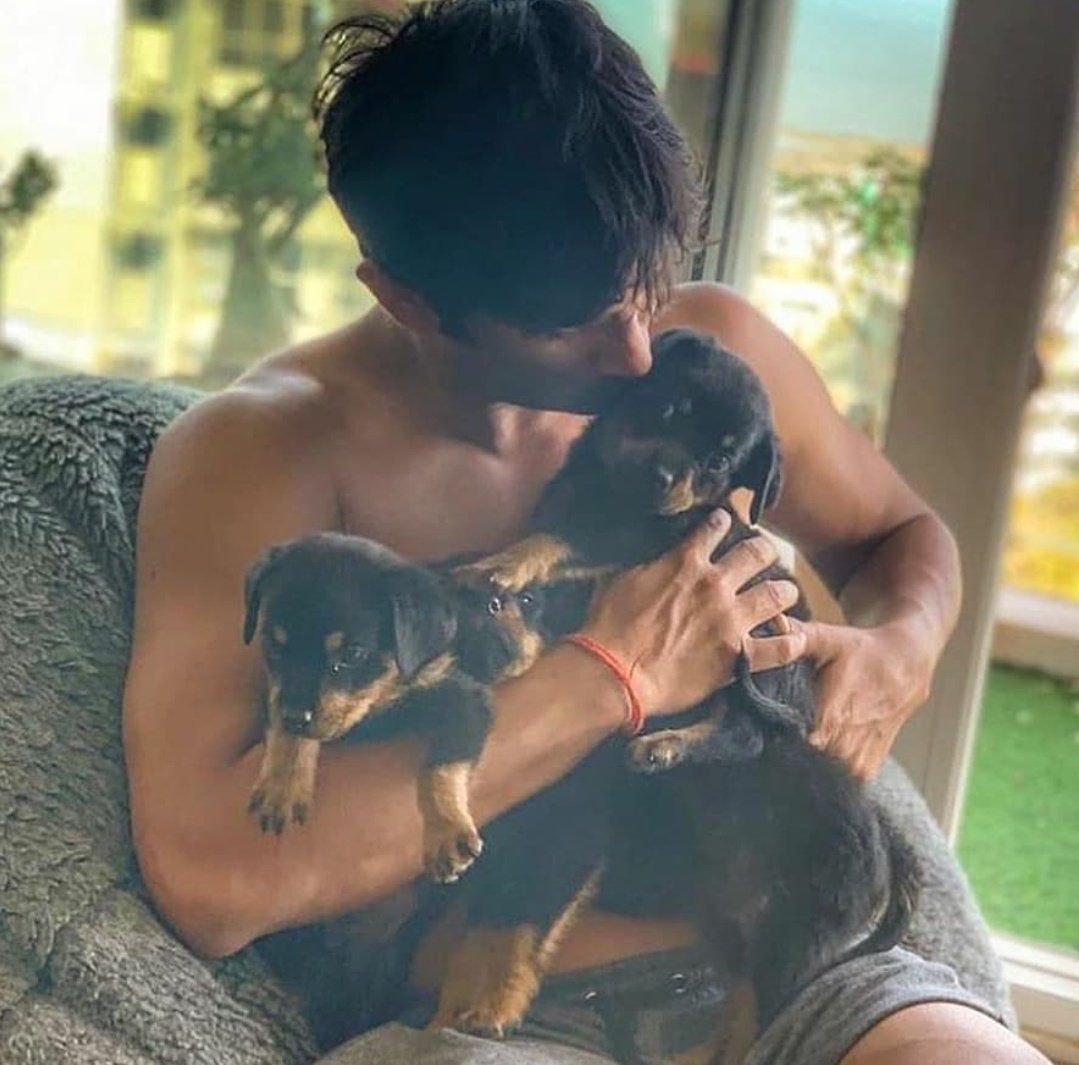 its_krutika's tweet photo. How I wish, you would have been living the best life if you weren't in BW🥺

You would have been happily, reading-researching about unknown things which can help society📚. Having leisure time with Fudge and A³ 🐕 completing your dreams🌟, space movie,... etc.
#SushantSinghRajput https://t.co/vedwrHhNIe