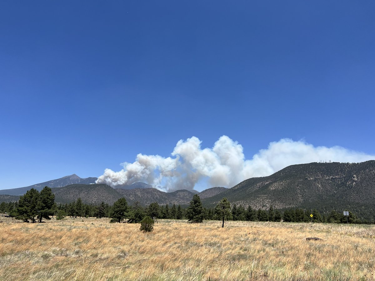 RunningTrent's tweet photo. #PipelineFire https://t.co/XdgZCsDByP