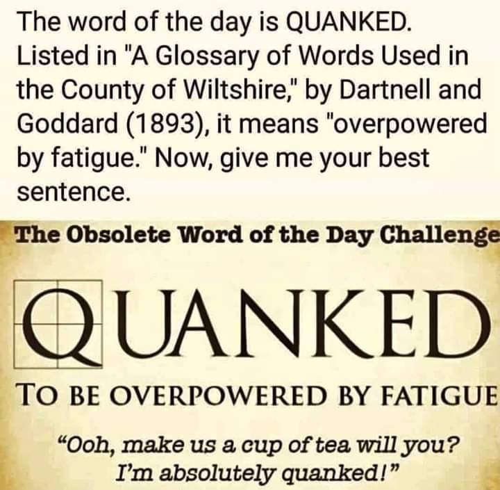 MaysamAdventur1's tweet image. What a word!
#Quanked