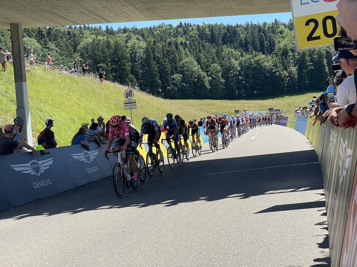 Markus Fehr tweet media