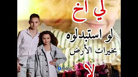 مى كمال tweet media