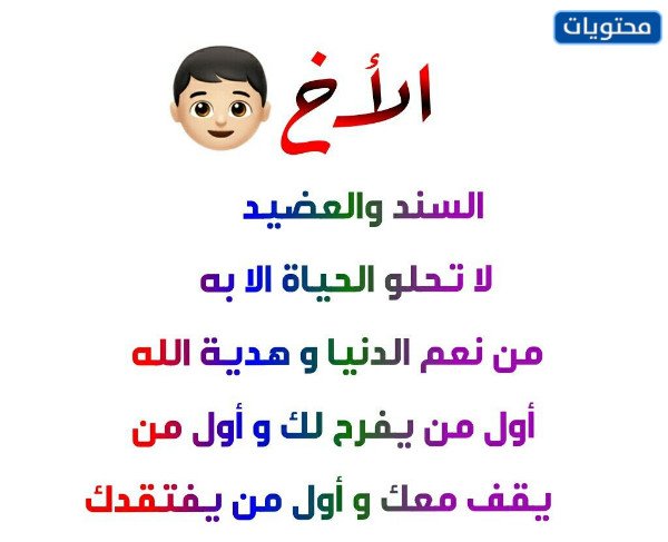 مى كمال tweet media
