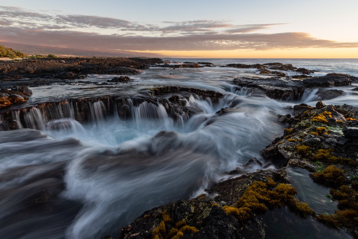 Science_Works's tweet image. We hope you enjoyed all the watery content this #worldoceansweek! No matter where on Earth we live, every drop of water we drink and each breath we take connects us to the sea. If you have the chance to visit the coast this summer, please don't miss out on exploring the ocean!