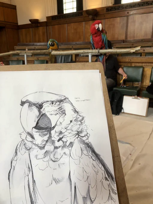 Met and drew some pretty dinosaurs !! 