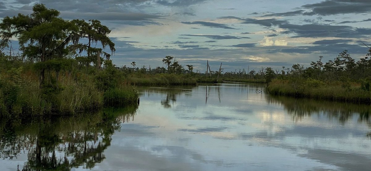 And Just Like THAT… the Weekend is Gone!

#Sunday Funday #sunday #SundayFunday #GoodVibesOnly