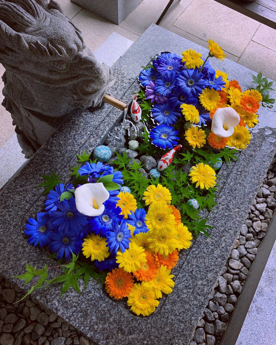 namegawajinja's tweet photo. ウクライナの平和、世界の平和を願って
ウクライナカラーの「花手水」を、また暫く続けます
ガーベラの花言葉 【希望】【前進】
#滑川神社
#仕事と子どもの守り神
#花手水
#みんなで花手水
#キリトリセカイ
#ウクライナカラー
#standwithukraine
#standupforukrain
#空ネット
#シェア天 https://t.co/15eW6OWhyK