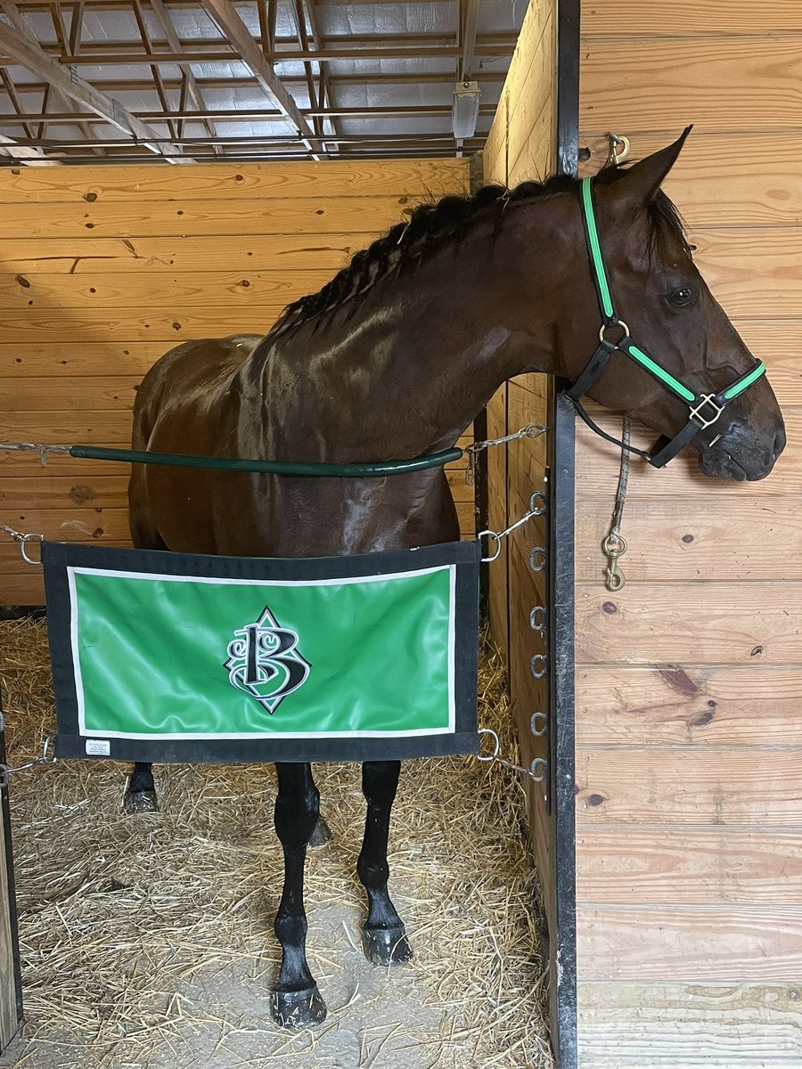 CCBRacingStable's tweet photo. #maincoolcat #presqueisledowns #HorseRacing #BeattieBarn https://t.co/qe7Hutsmzz