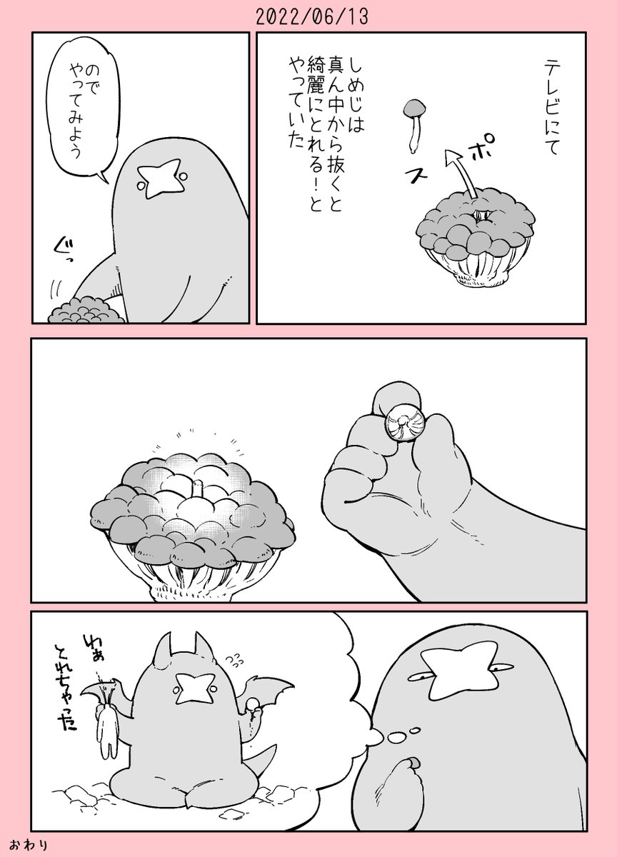 きのこの日記🍄🍄🍄 