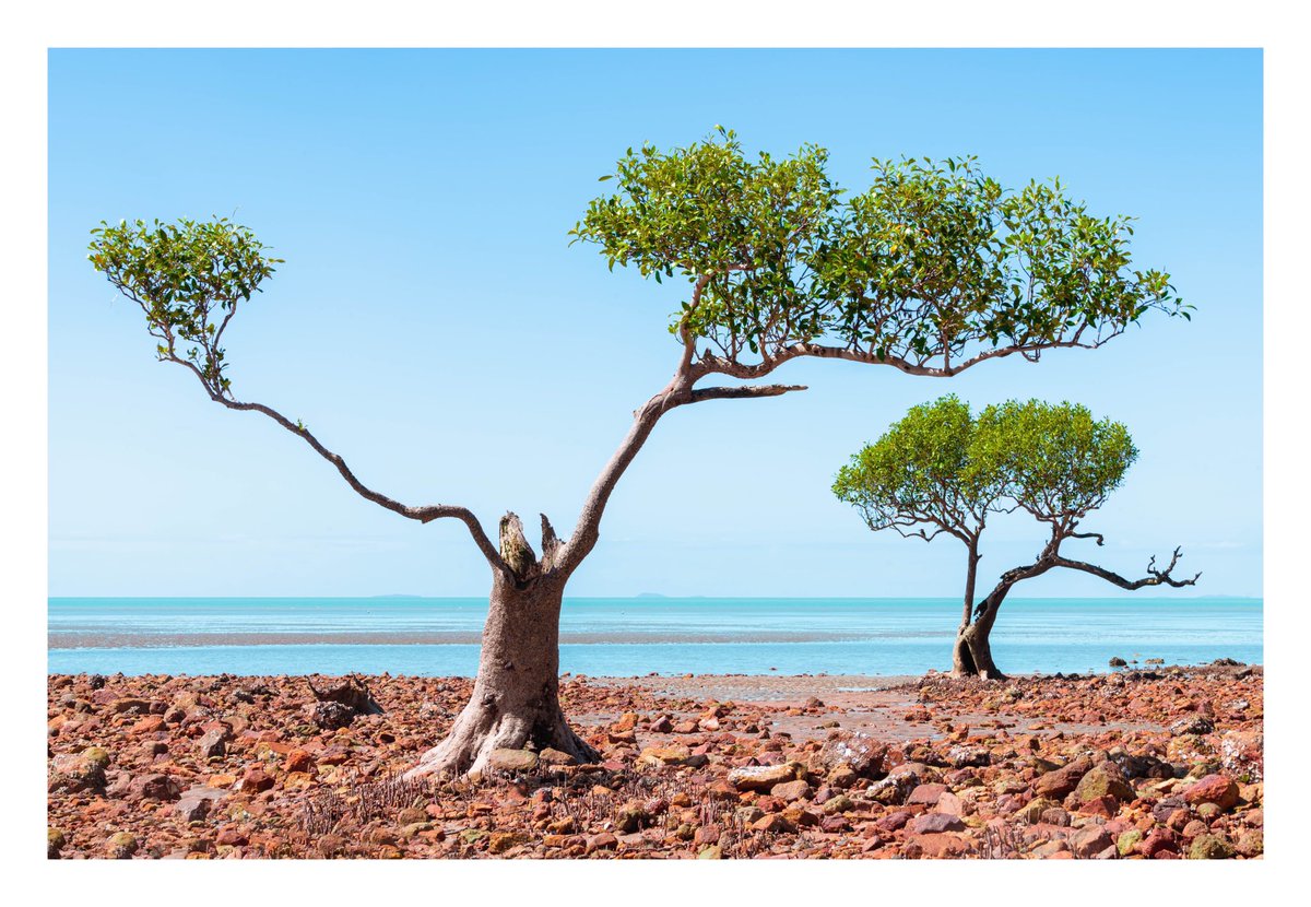 Pavel Kotelevskii Photography tweet media