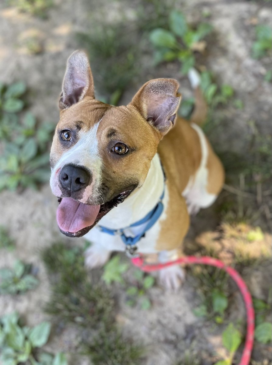 🌈 Meghan the PitPlott tweet media