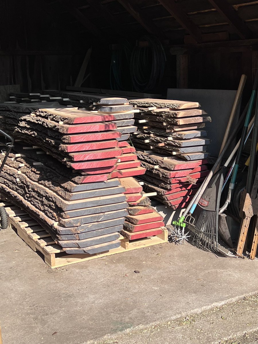 Turfintel's tweet image. Milled cherry, walnut and oak logs today. Approximately 500 board feet was the yield. Now they rest.
