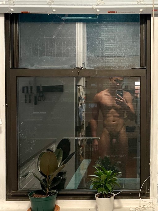 What would you do if you saw me in the window? 🪟🔭👀 https://t.co/uFcziFlwtE