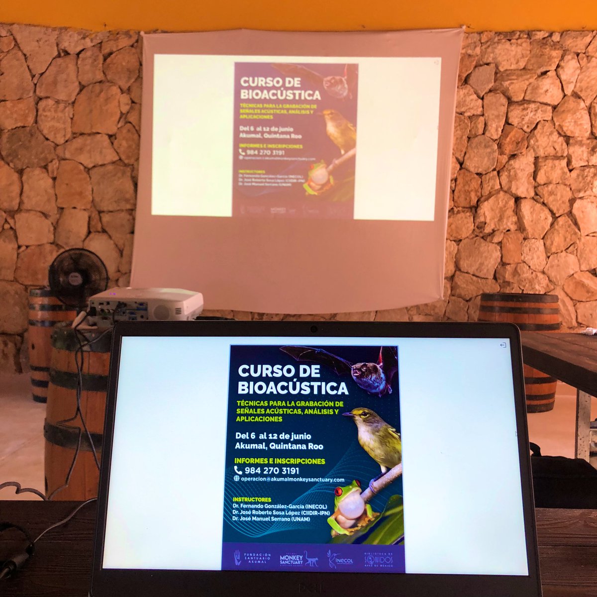 LABEC_IPN's tweet photo. Understanding spectral sound analysis is key to decode animal signals. Participants in our annual course learn how to analyze animal sounds using a variety of programs. Akumal, Quintana Roo, Mexico  @ciidiroaxaca @IPN_MX @Inecol_mx @AkumalMonkeyS https://t.co/2UdDpvm2oI