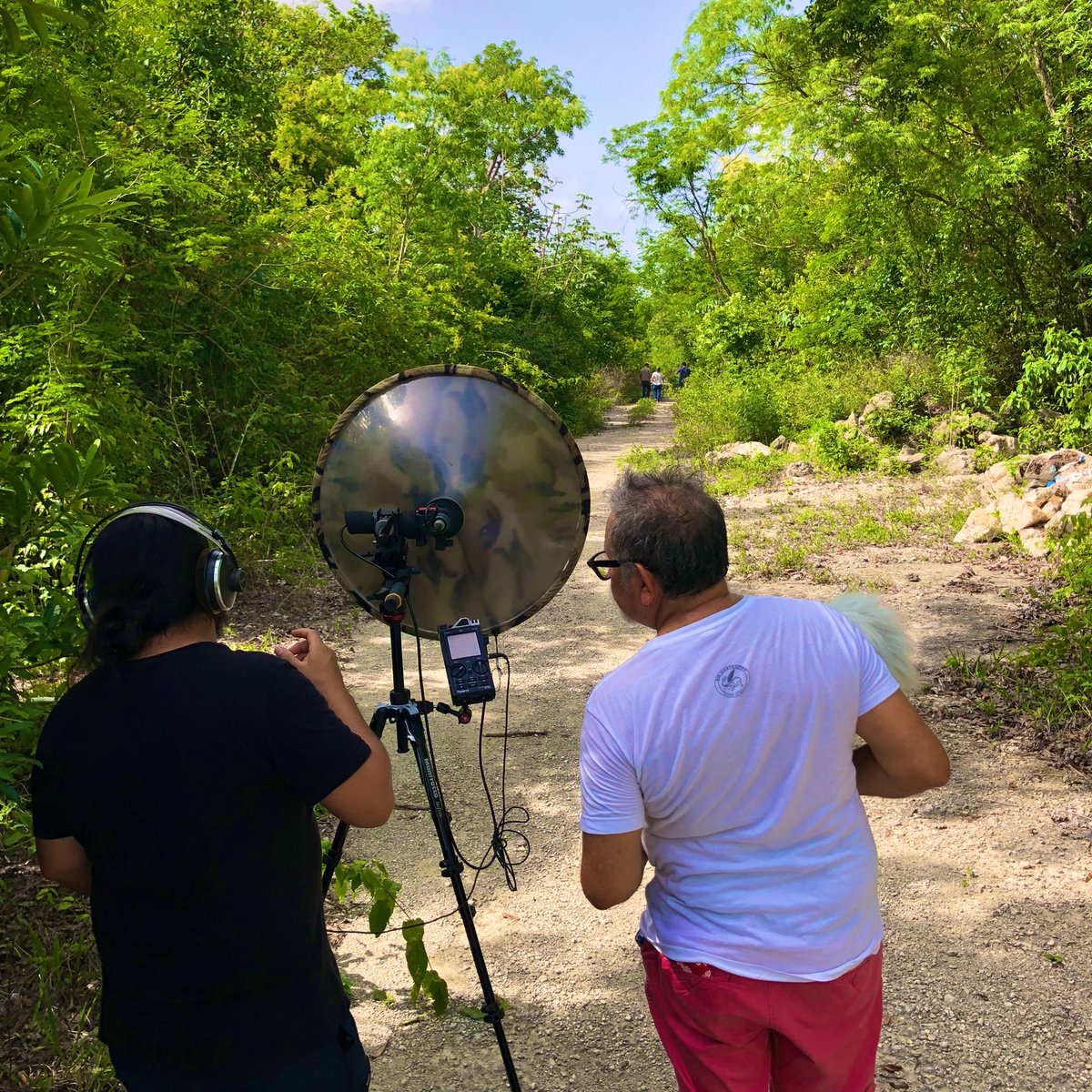 LABEC_IPN's tweet photo. Understanding spectral sound analysis is key to decode animal signals. Participants in our annual course learn how to analyze animal sounds using a variety of programs. Akumal, Quintana Roo, Mexico  @ciidiroaxaca @IPN_MX @Inecol_mx @AkumalMonkeyS https://t.co/2UdDpvm2oI