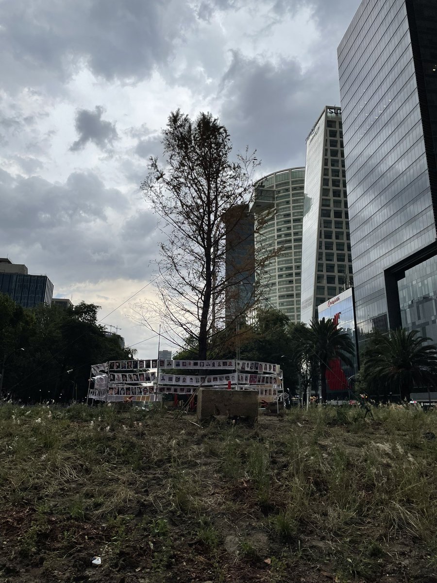 rbornery's tweet photo. No se si es por la temporada, pero el #ahuehuetereforma se ve como que se está secando, esta #4taTransformacion nomas no puede hacer nada bien. https://t.co/eBTXZm5Uhd