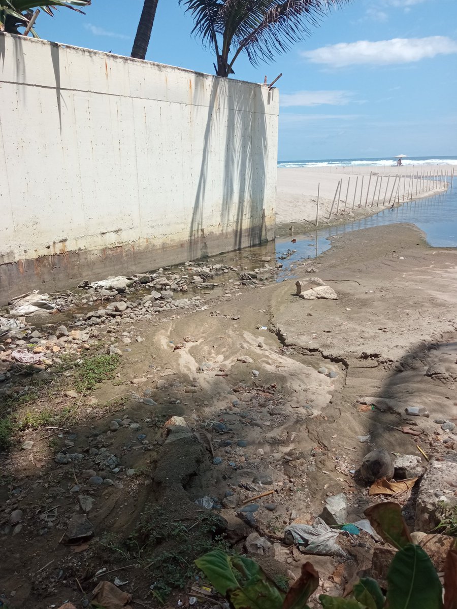 AlbarranFrias tweet picture