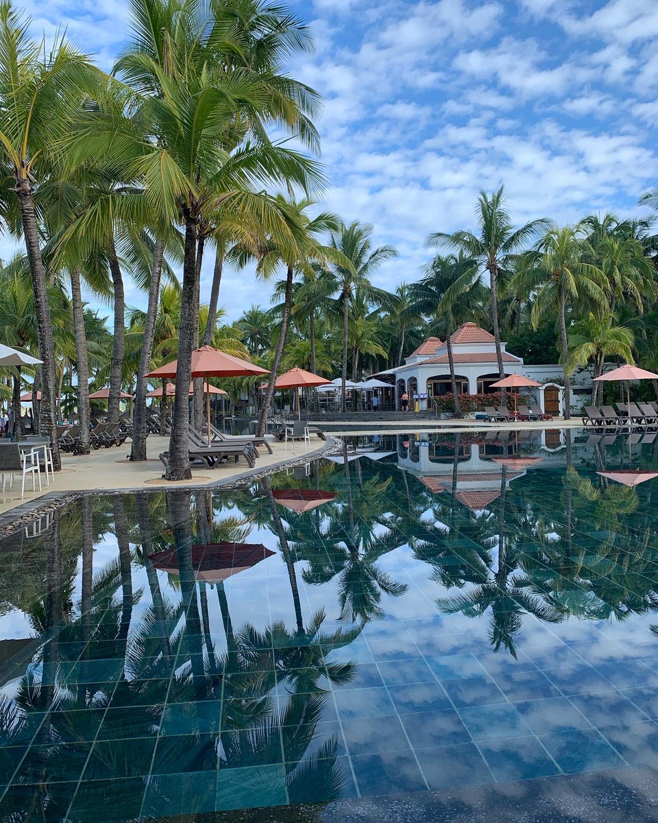 Julianne Courtice tweet media