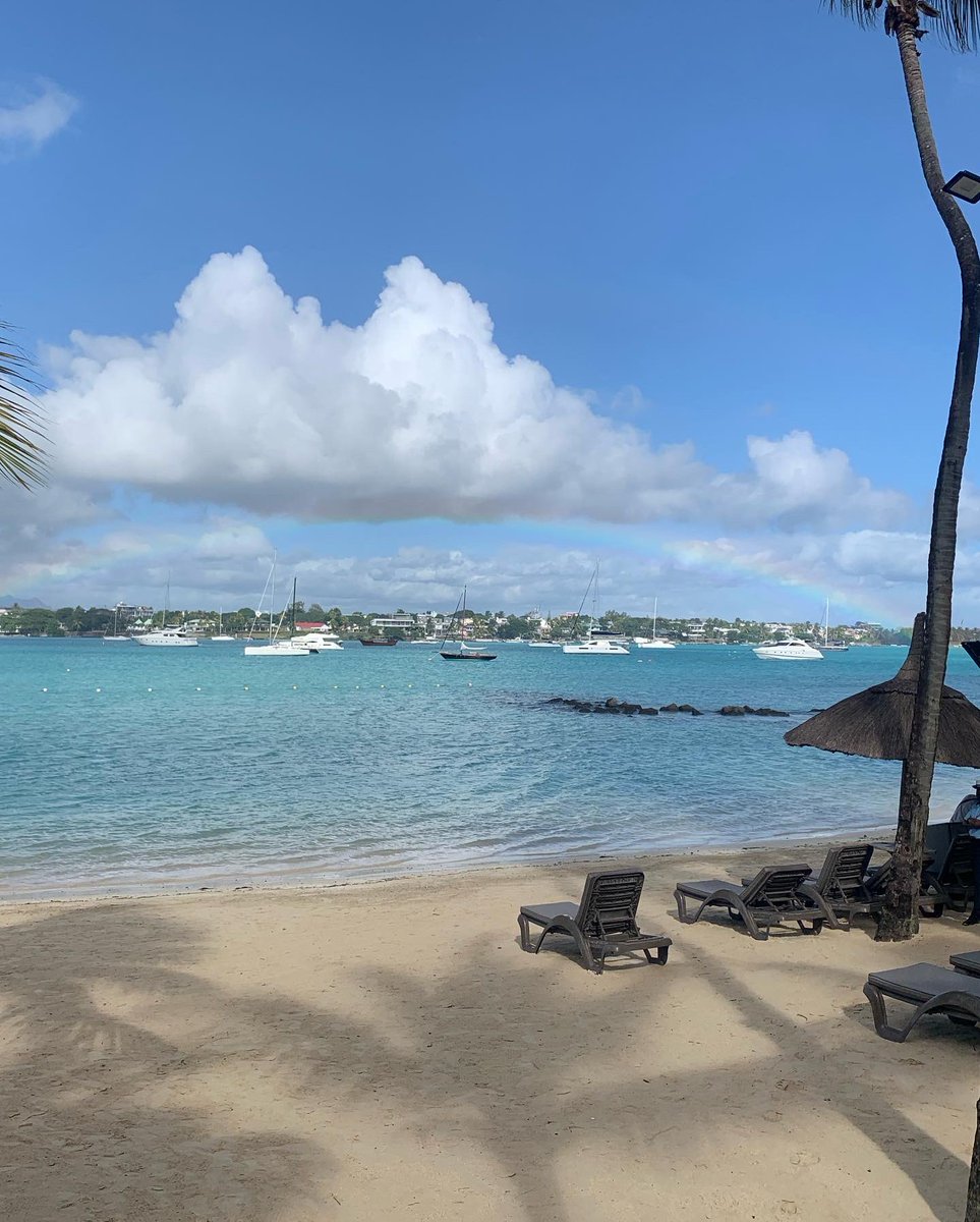 Julianne Courtice tweet media