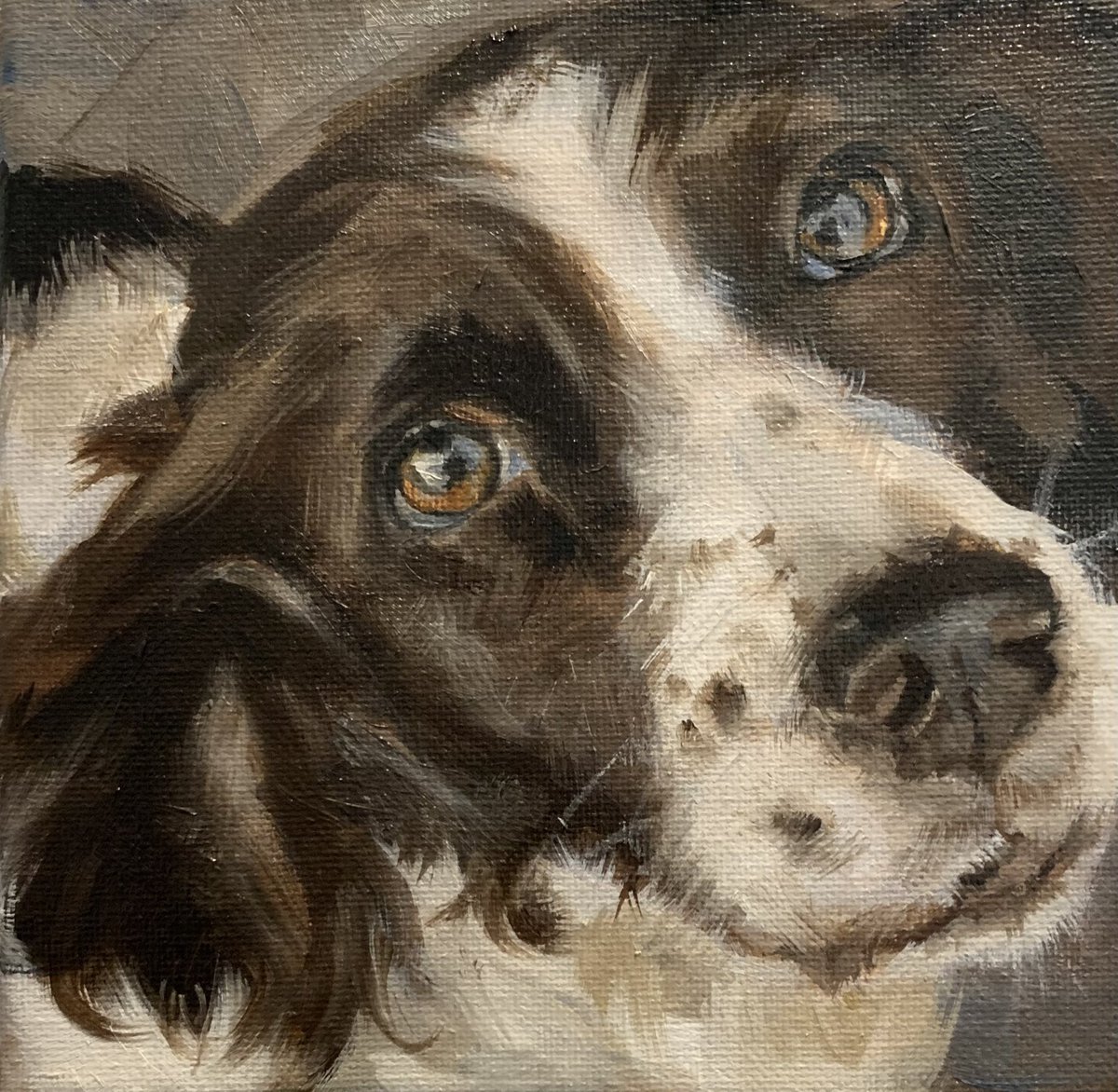 I’ve been busy painting dogs 😊