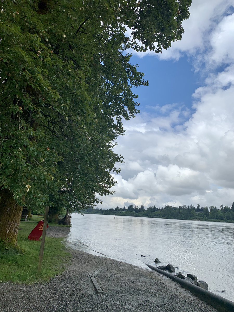 charmedberry's tweet photo. Headed oout for our usual stroll around #DerbysReach, the campgrounds have been closed due to flooding. The river is the highest that I can remember, almost up to the picnic tables along the main park. #BCfloods #FraserRiver #LangleyBC @news1130 @GlobalBC https://t.co/jHpNdEDrvX