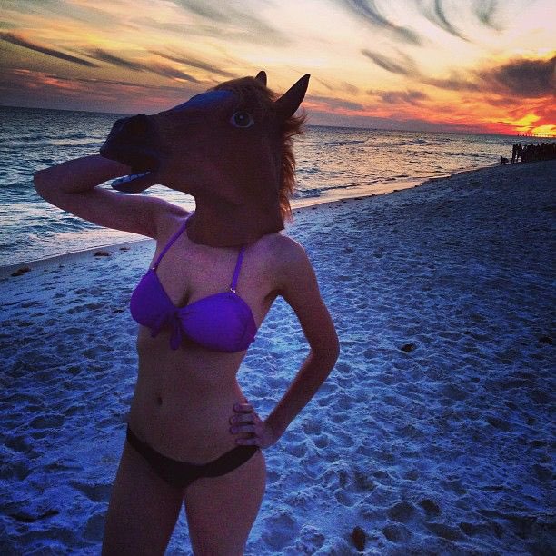 holllandsbae's tweet photo. 🚨LEAKED: gemmas horse will be entering the villa as a bombshell #LoveIsland https://t.co/hWKFzO10LQ