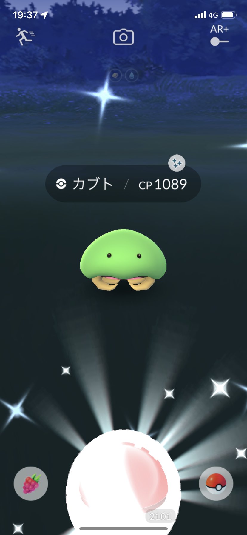さのちんgo みんな おはよー 色違いの子と出逢えたよー ポケモンgo カブト オムナイト T Co 7mvd4tyjyx Twitter