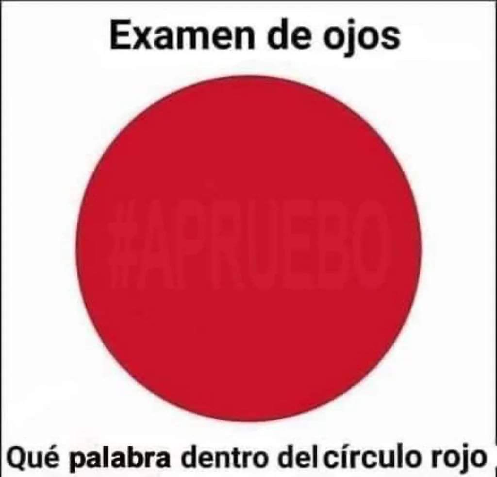 dtel123's tweet photo. #Apruebo4deSeptiembre @
#AprueboPlebicitoDeSalida #Apruebo https://t.co/gMktgsXl3n