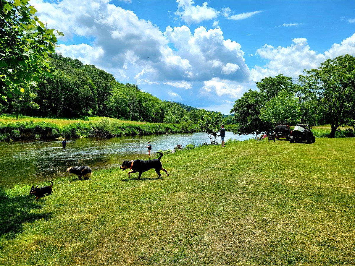 robimontgo's tweet photo. I highly recommend that everyone spend time unplugged & w/the ones that mean the most ~ it's good for the soul 🧡
#ncmountains #newriver #lifeunplugged #ncliving #countryside #timewiththekiddosandhounds https://t.co/hWRIQTnTO9