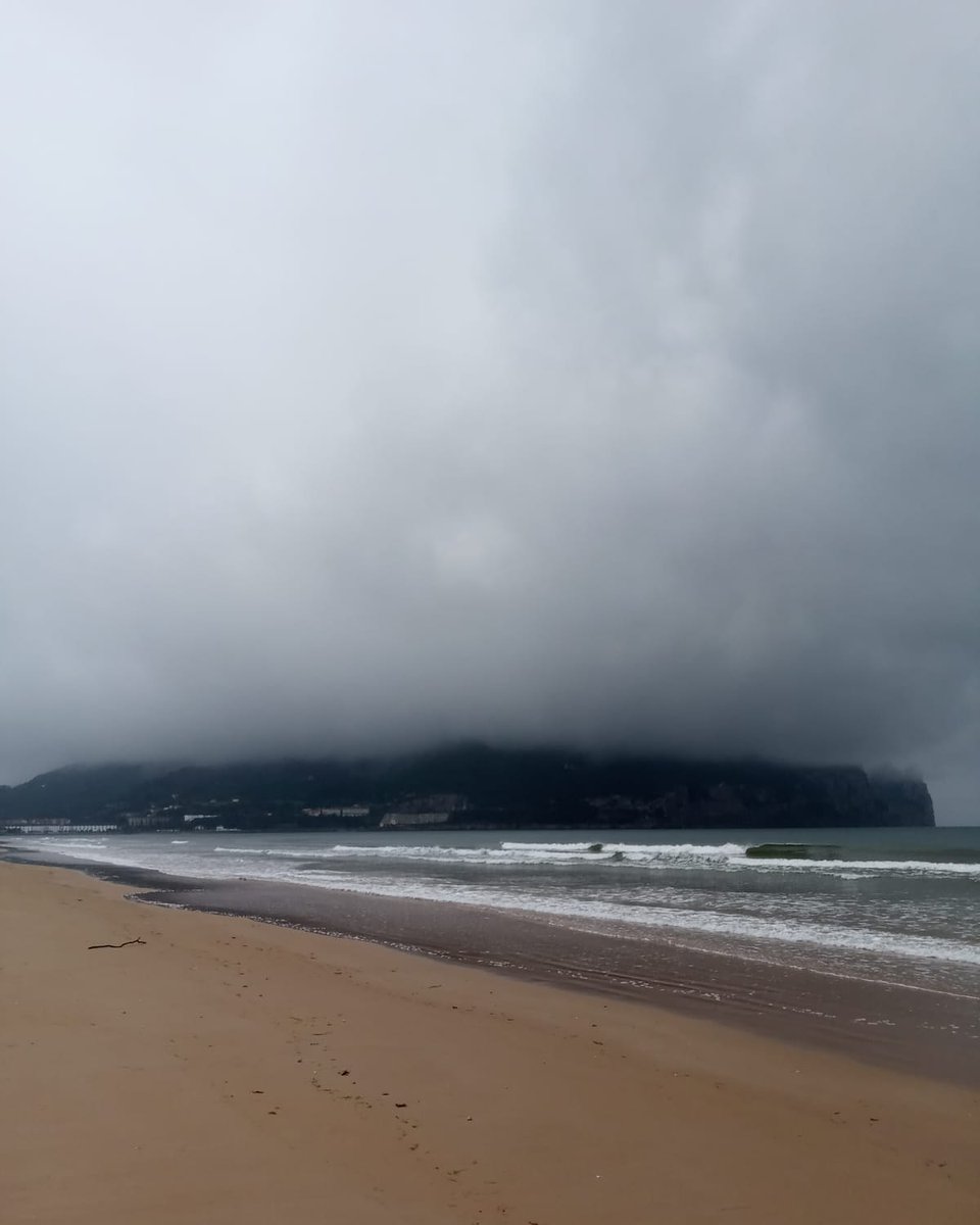 Lorenzo_Olivan's tweet photo. Wislawa Szymborska

"No es más que un jirón de caos" https://t.co/SBl3Trehlq