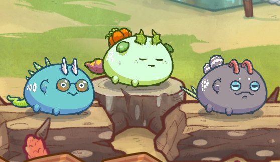 🔥🔥 SORTEO EQUIPO VENENO 🔥🔥

Para participar: 👇
🔸️Follow <a href="/SprigganTv/">SprigganTv</a> 
🔸️Follow en twitch twitch.tv/spriggantv1?sr…
🔸️RT al tweet
🔸️Etiqueta 1 amigo

Se sorteará en directo el Sábado 18 

#AxieInfinity <a href="/AxieInfinity/">Axie Infinity</a>