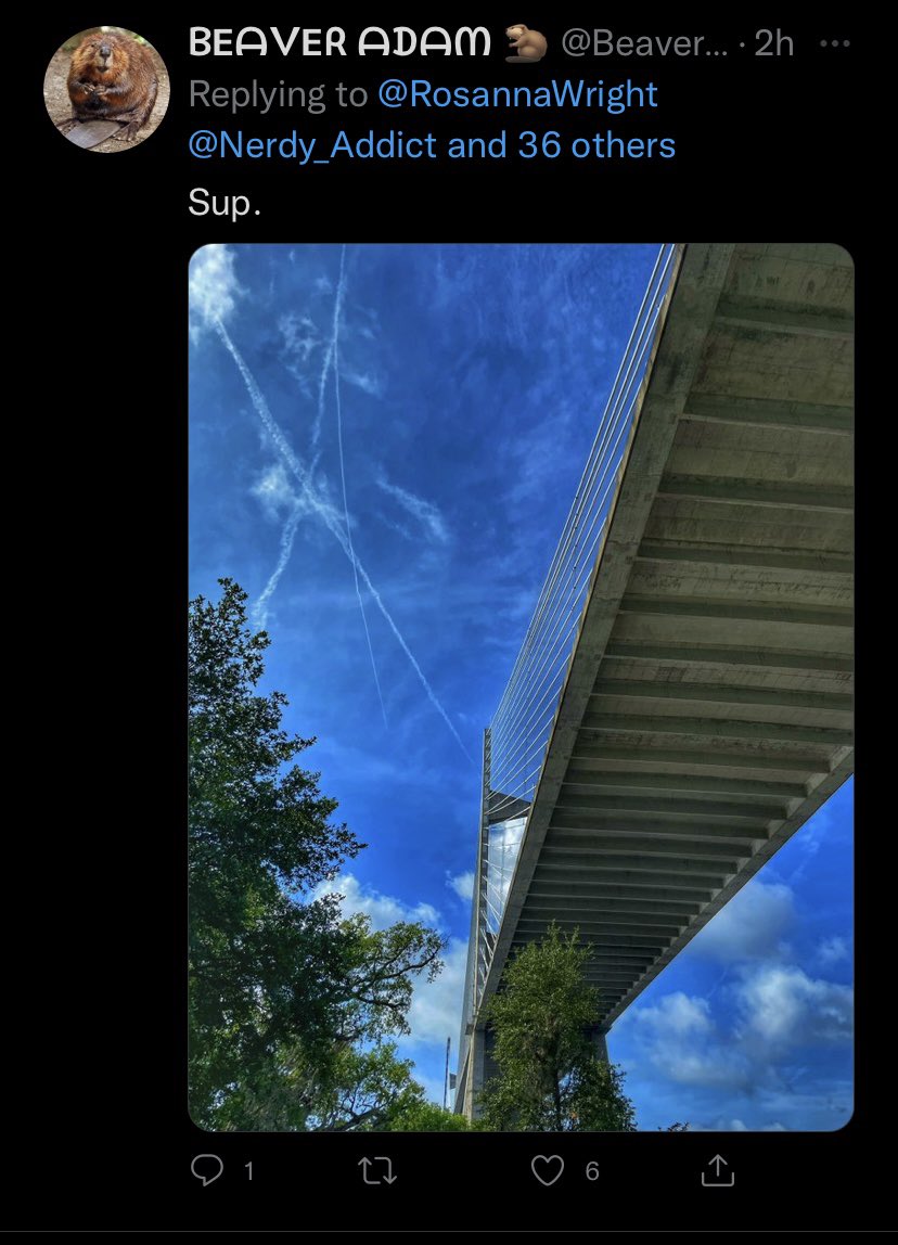 onlyturds365's tweet photo. @NikkiNewtt @ArtsyBookworm70 @breezycajunqwn @BeaverAdam85 What REALLY happened was @Nerdy_Addict accidentally posted pictures of Jacksonville from the wrong acct and didn’t realize it immediately. Now he’s using his mental 🤸‍♀️ to make ppl think he hacked 🦫 acct, when it’s really not that complicated. He’s always been 🦫! OOPS 😬 https://t.co/74HzGwQcae