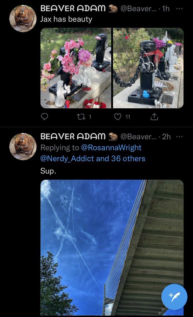 onlyturds365's tweet photo. @NikkiNewtt @ArtsyBookworm70 @breezycajunqwn @BeaverAdam85 What REALLY happened was @Nerdy_Addict accidentally posted pictures of Jacksonville from the wrong acct and didn’t realize it immediately. Now he’s using his mental 🤸‍♀️ to make ppl think he hacked 🦫 acct, when it’s really not that complicated. He’s always been 🦫! OOPS 😬 https://t.co/74HzGwQcae