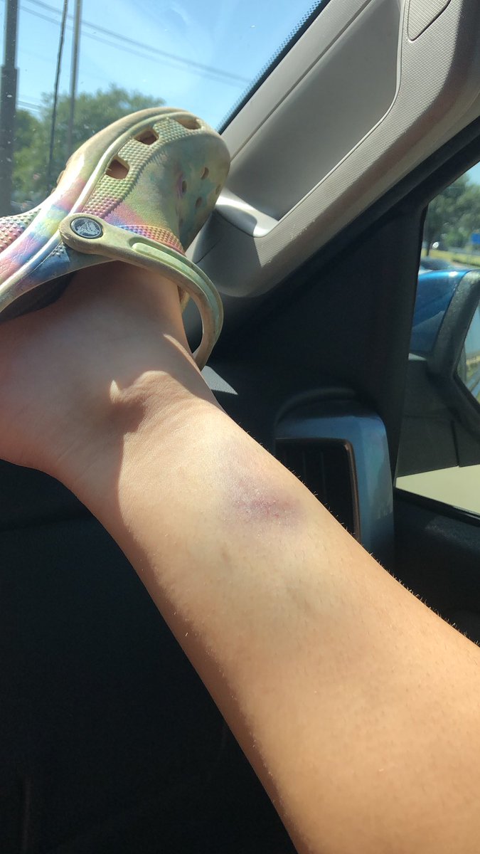 MacKenzie Clark tweet media