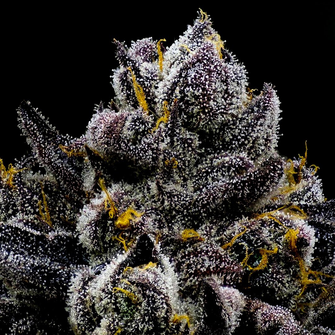 StrainWars.eth tweet media