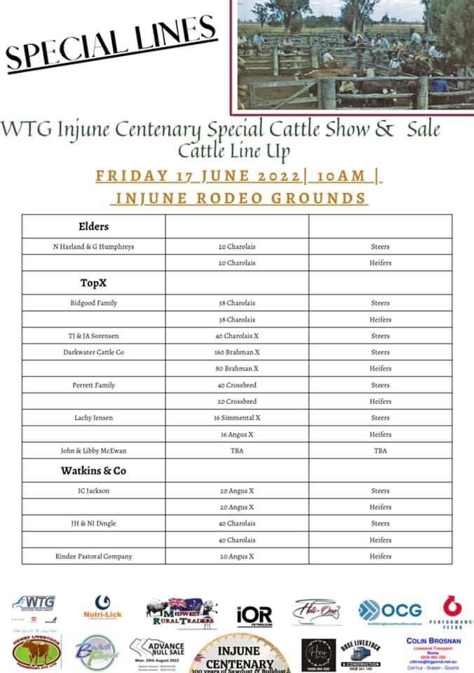 bellevueluck's tweet photo. This week Injune is celebrating its centenary with a week full of activities. Friday will see the first #cattlesale at Injune since 1990 #maranoa #ausag #swqld #injunecentenary https://t.co/q8XcQWZ00C
