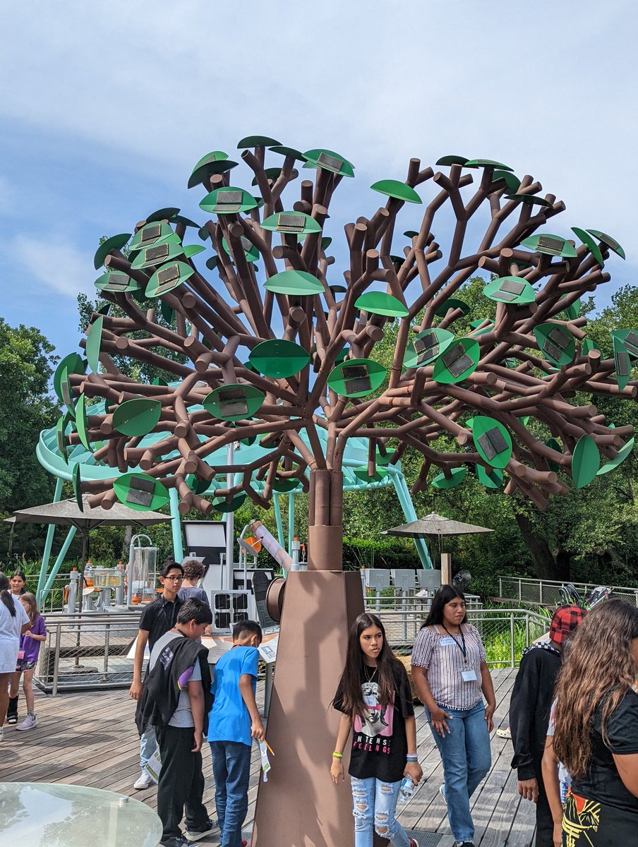 Michell65627713's tweet photo. 6th Grade Summer Ignite at the Dallas Arboretum. @PrincipalDawes #NHESummerIGNITE https://t.co/8DoGGsOaFK