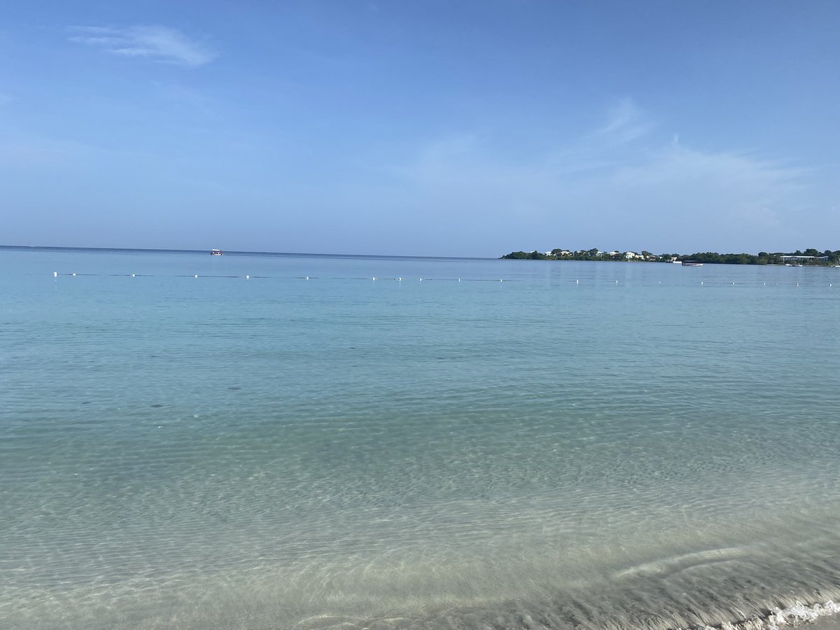 lynnslabs's tweet photo. #Jamaica I’ve missed my #carribean  holidays - #fishing . When your consultant clears you to fly - well it would be rude not 2 xx https://t.co/WqeDWJaUS8