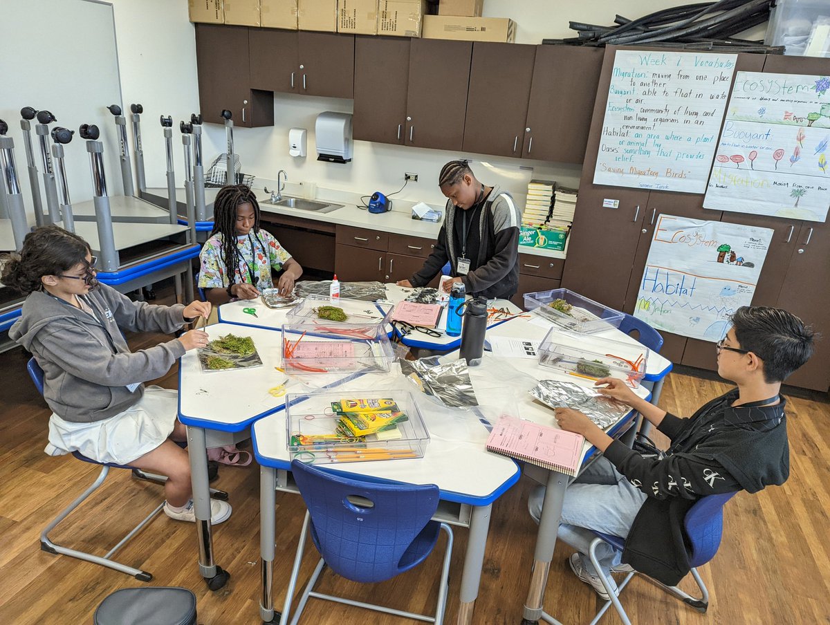 Michell65627713's tweet photo. STEAM Design Challenge. Students are creating a buoyant island for migratory birds. Will they sink or float?@PrincipalDawes #NHESummerIGNITE https://t.co/mdNaapCRvb