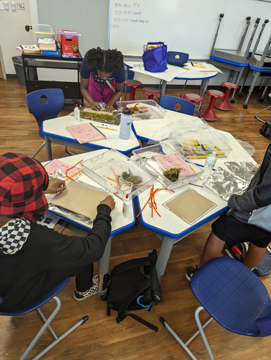 Michell65627713's tweet photo. STEAM Design Challenge. Students are creating a buoyant island for migratory birds. Will they sink or float?@PrincipalDawes #NHESummerIGNITE https://t.co/mdNaapCRvb