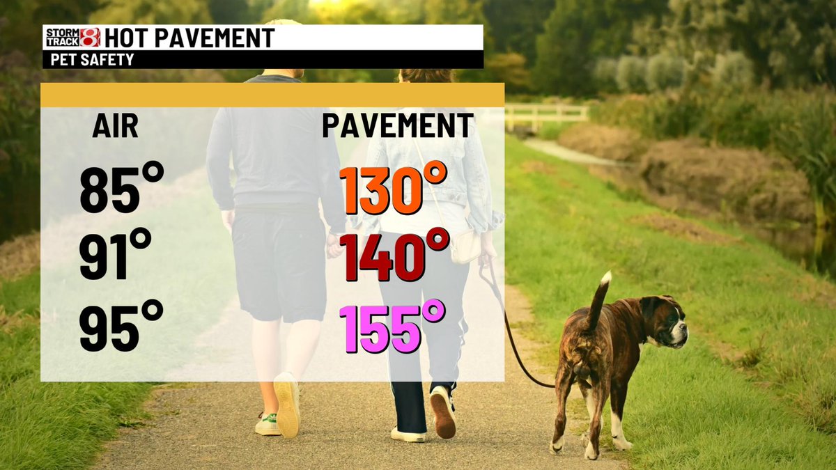 RyanMorseWx's tweet photo. Share this with all pet owners! Central Indiana will have record heat this week, please take care of your pets. Pavement temperatures will likely be running over 140 degrees Monday-Wednesday afternoons @WISH_TV https://t.co/sBSWWWkREj