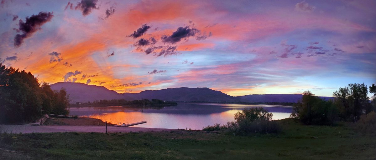 MomDawg420 NFT's (@kmheinecke) on Twitter photo 