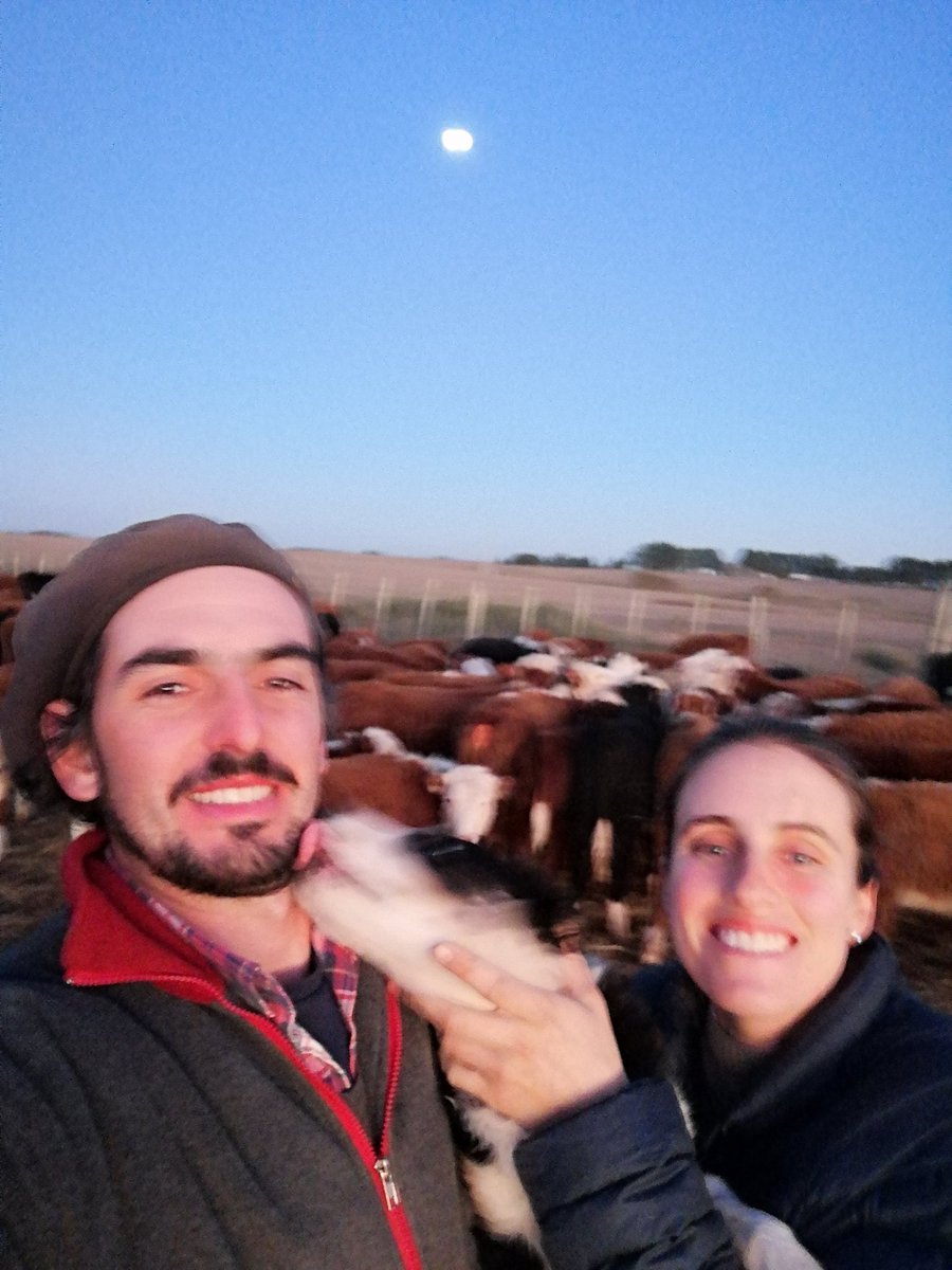 jframos600's tweet photo. Racionando a la tardecita con la atormentadora presencia de Lola
la exploradora, el infatigable perrito del demonio que coquetea entre las Nacientes del Río San José y el Bravo Carpintería...

Flores, Uruguay 💪🇺🇾

@MVGonideleon https://t.co/jv8FBicEJW