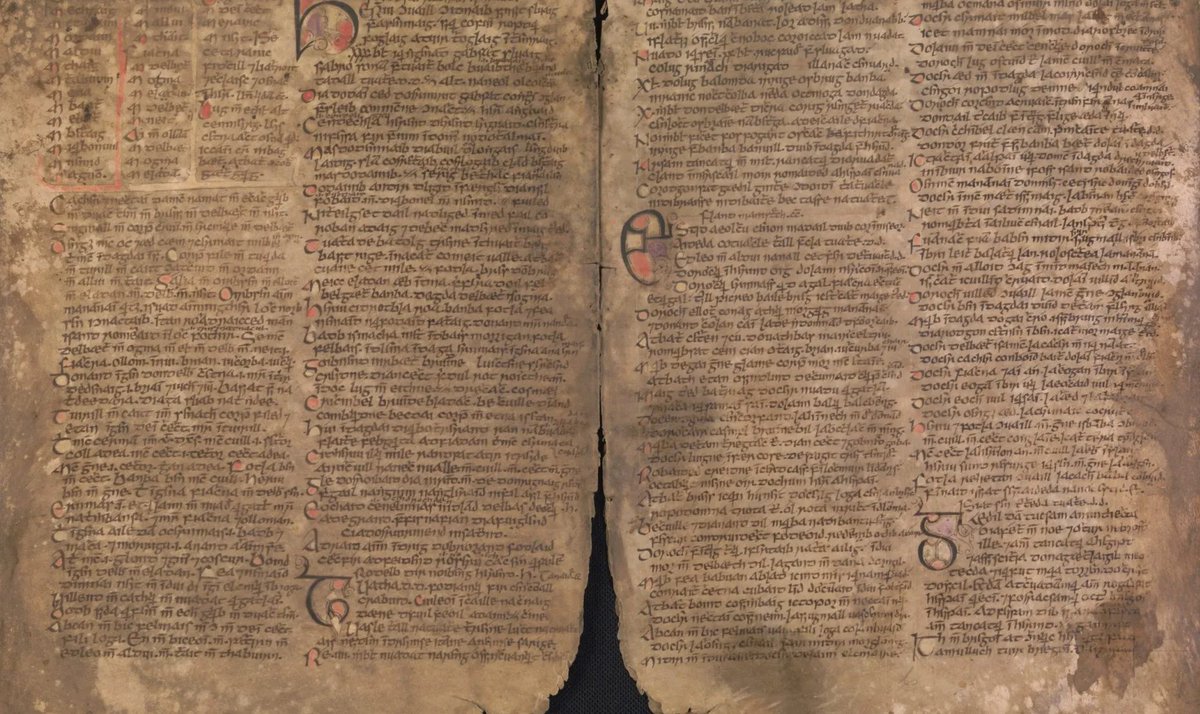 LibraryJournal's tweet image. Ireland: “‘Book of Leinster’ Pages to Be Restored and Digitised” ow.ly/vcXY50JvzER #libaries @tcdlibrary