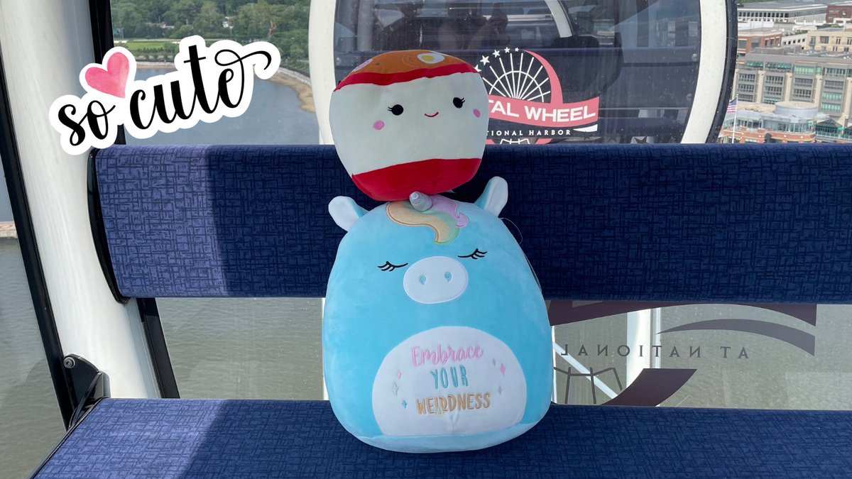 CapitalWheel's tweet photo. #Squishmallows have arrived at National Harbor. 2 locations. The Capital Wheel kiosk on American Way &amp; The Capital Wheel Store at Tanger Outlets now have your favorite super-soft plush in stock. Get ‘em while they last!
#thecapitalwheel #nationalharbor #wheellife #wheelfun https://t.co/r2YIC7pCom