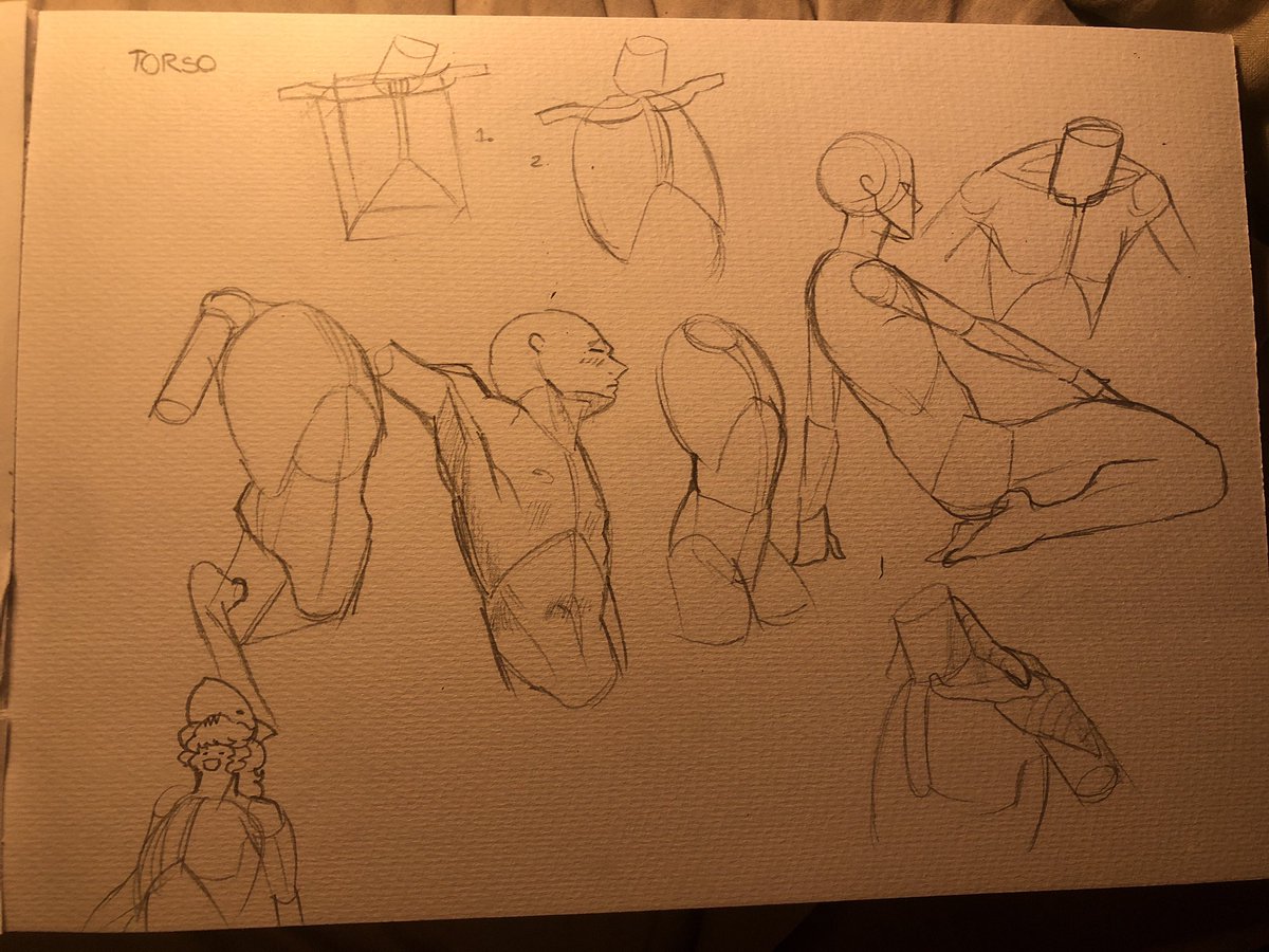 learning anatomy for real this time 