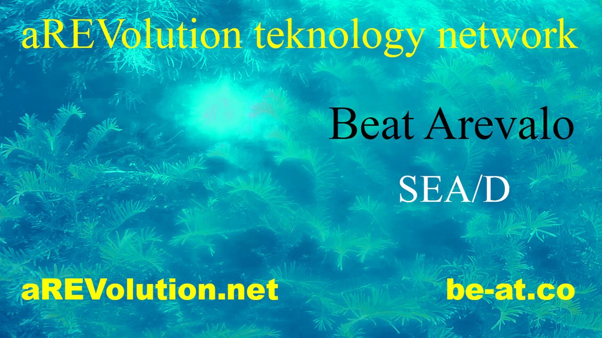 AccidentalTribe's tweet photo. Beat Arevalo - SEA/D 
https://t.co/RyR17cooq0 https://t.co/z7EGzRkYi8