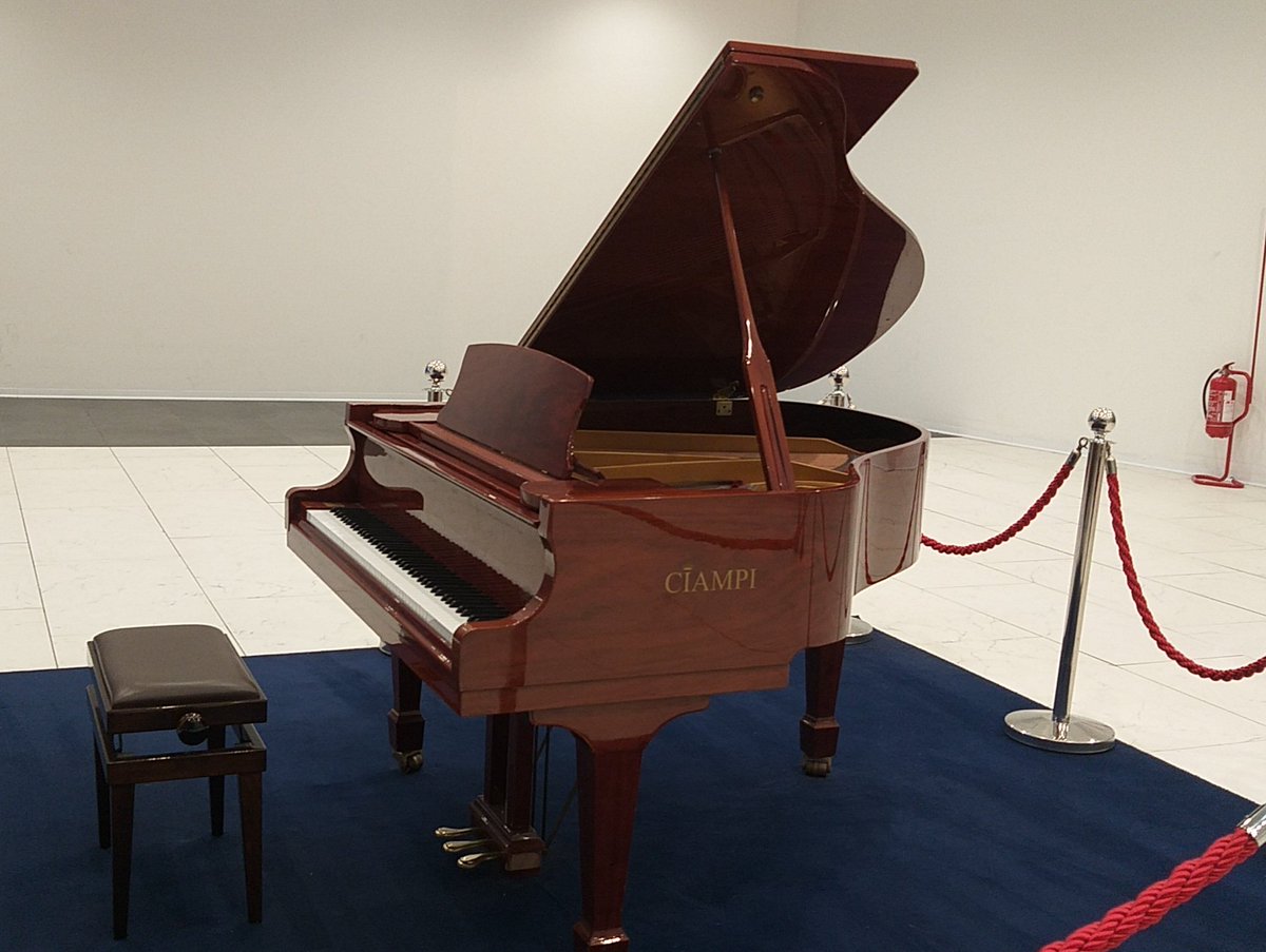 MoisesMucelo's tweet photo. On the last leg of the #road2tnc, a stop to listen to a good piano sound at FCO Airport.  Memorable experience. @MoRENet12 @TNC_GEANT #TNC22 https://t.co/0A13pbCudm